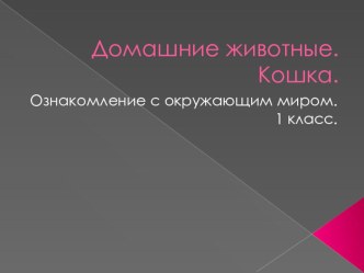 Презентация Домашние животные. Кошка. презентация к уроку логопедии (1 класс) по теме