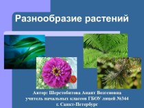 Разнообразие растений на Земле. презентация к уроку