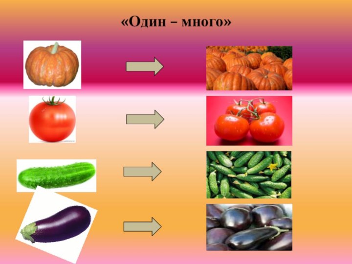 «Один – много»