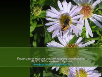Ромашка-цветок здоровья учебно-методическое пособие (старшая группа)