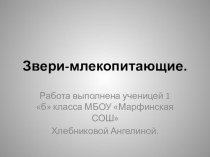 Презентация по окружающему миру презентация к уроку (окружающий мир, 1 класс)