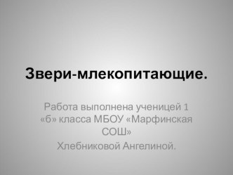 Презентация по окружающему миру презентация к уроку (окружающий мир, 1 класс)