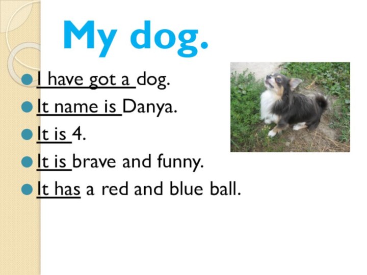 My dog.I have got a dog.It name is Danya.It is 4.It is