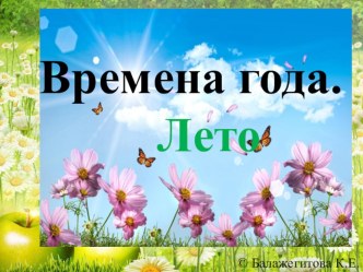 презентация для дошкольников старшего возраста Времена года. Лето презентация к уроку по окружающему миру (старшая группа)