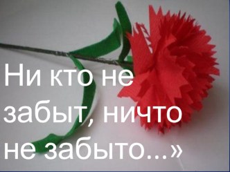 Презентация проекта Ни кто не забыт, ничто не забыто... презентация к уроку (старшая группа)