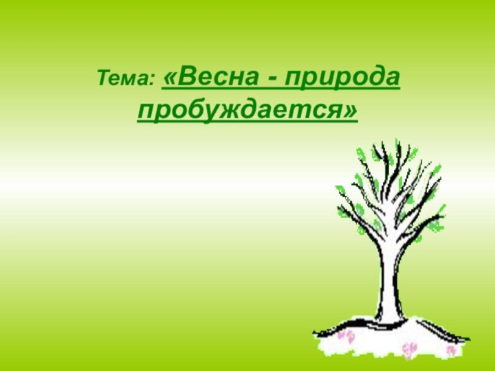 Тема: «Весна - природа пробуждается»