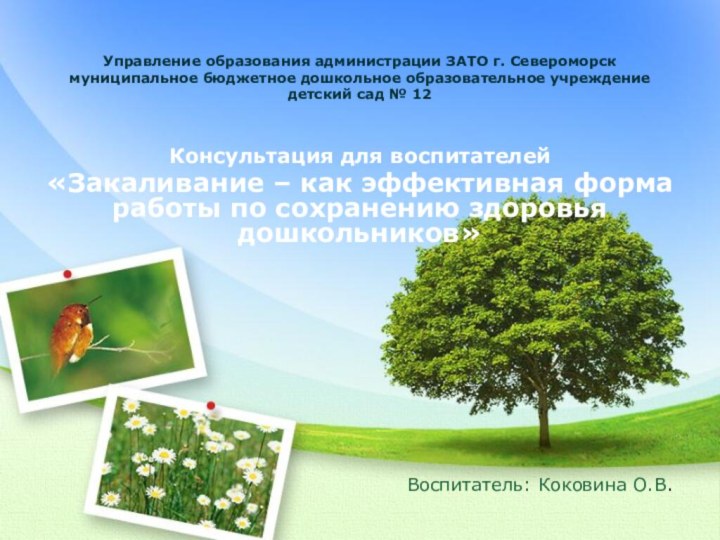 Управление образования администрации ЗАТО г. Североморск муниципальное бюджетное дошкольное образовательное учреждение детский