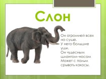 Открытый урок окружающего мира Где живут слоны? 1 класс учебно-методический материал по окружающему миру (1 класс)
