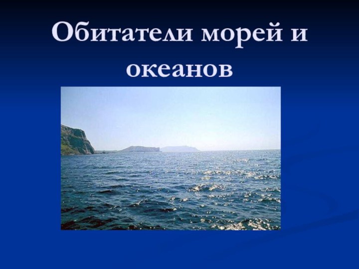 Обитатели морей и океанов