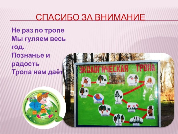 Спасибо за вниманиеНе раз по тропеМы гуляем весь год.Познанье и радостьТропа нам даёт.