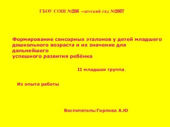 ПрезентацияФормирование сенсорных эталонов у детей младшего дошкольного возраста и их значение для дальнейшего успешного развития ребёнка презентация к занятию (младшая группа) по теме