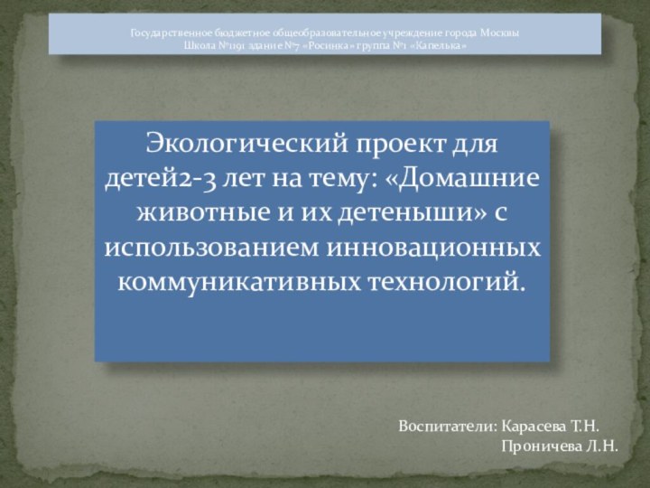 Экологический проект для детей2-3 лет на тему: «Домашние животные и их детеныши»