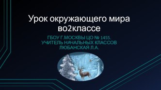 Невидимые нити в зимнем лесу. презентация к уроку по окружающему миру (2 класс)