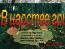 Грибы и их значение в природе презентация к уроку по окружающему миру (старшая группа)