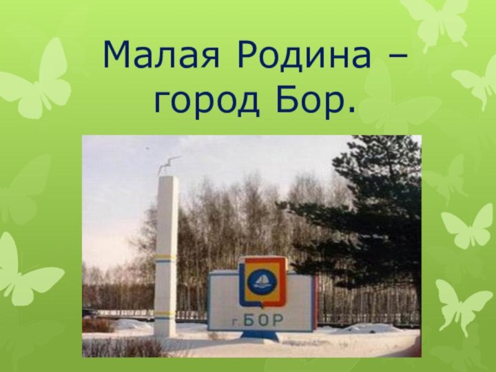 Малая Родина – город Бор.