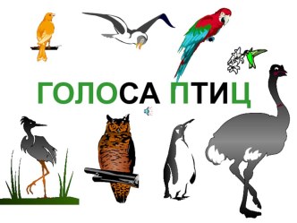 Презентация о птицах презентация к уроку по окружающему миру (старшая группа)