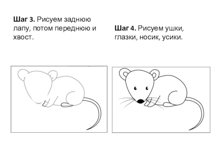 Шаг 3. Рисуем заднюю лапу, потом переднюю и хвост.Шаг 4. Рисуем ушки, глазки, носик, усики. 