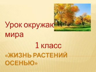 Урок окружающего мира Жизнь растений осенью 1 класс. Перспективная начальная школа. план-конспект урока по окружающему миру (1 класс) по теме