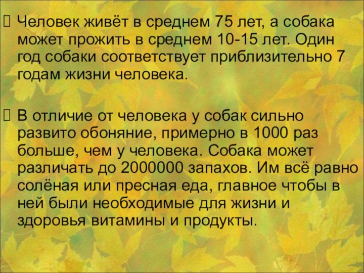 Человек живёт в среднем 75 лет, а собака может прожить в среднем