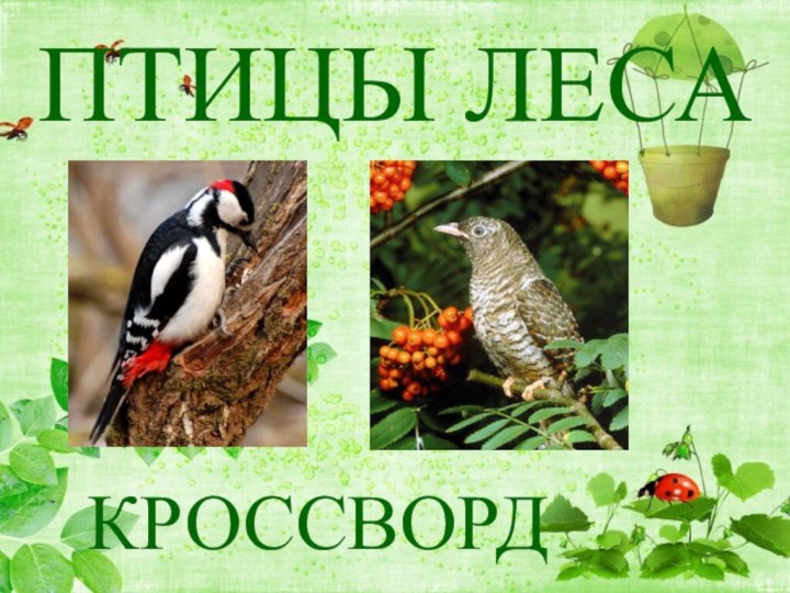 ПТИЦЫ ЛЕСАКРОССВОРД