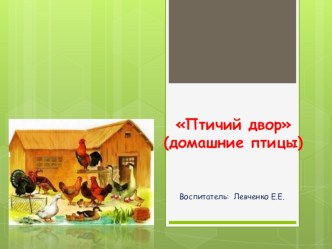 Птицы моего подворья презентация к уроку (старшая группа) по теме