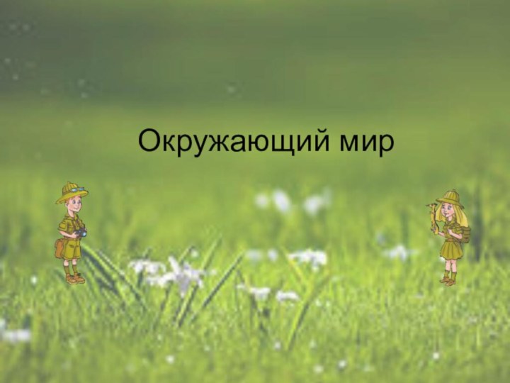 Окружающий мир