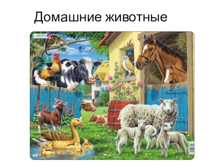 Домашние животные