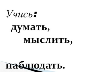 Однокоренные слова. план-конспект занятия по русскому языку (2 класс) по теме