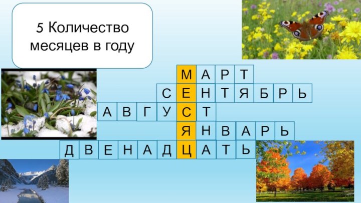 5 Количество месяцев в году