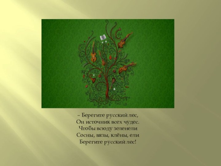 – Берегите русский лес, Он источник всех чудес. Чтобы всюду зеленели Сосны,