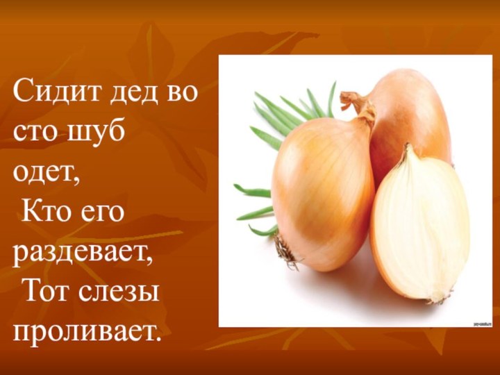 Сидит дед во сто шуб одет, Кто его раздевает, Тот слезы проливает.