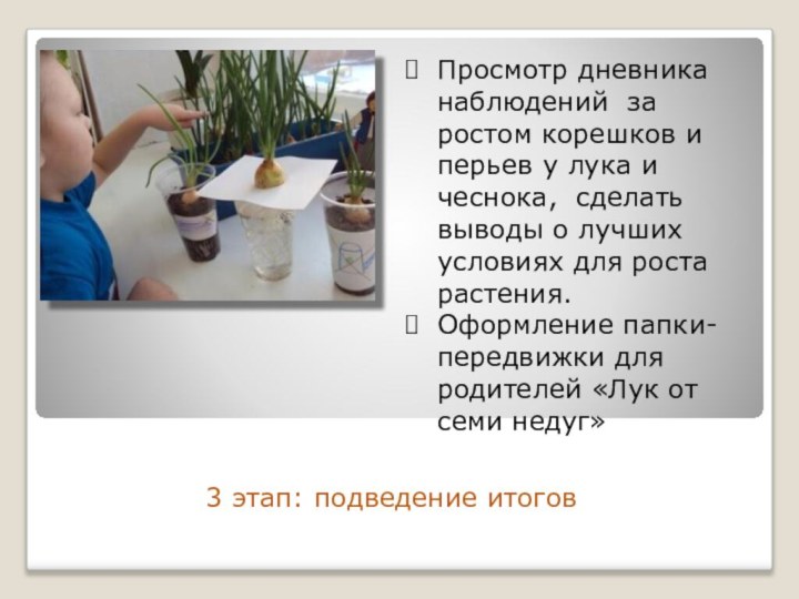 3 этап: подведение итоговПросмотр дневника наблюдений за ростом корешков и перьев у