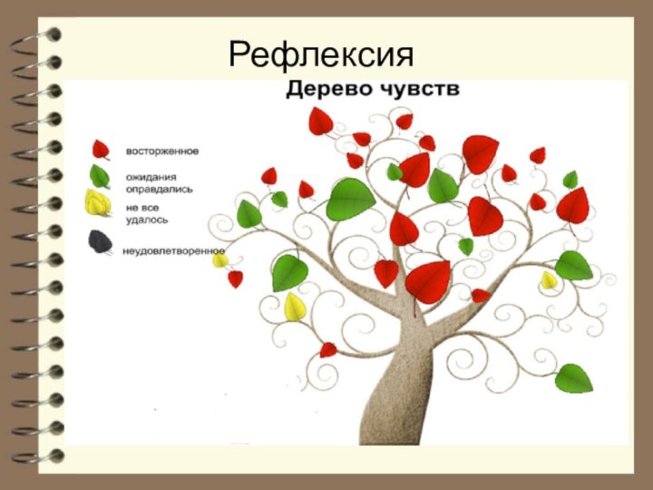 Рефлексия