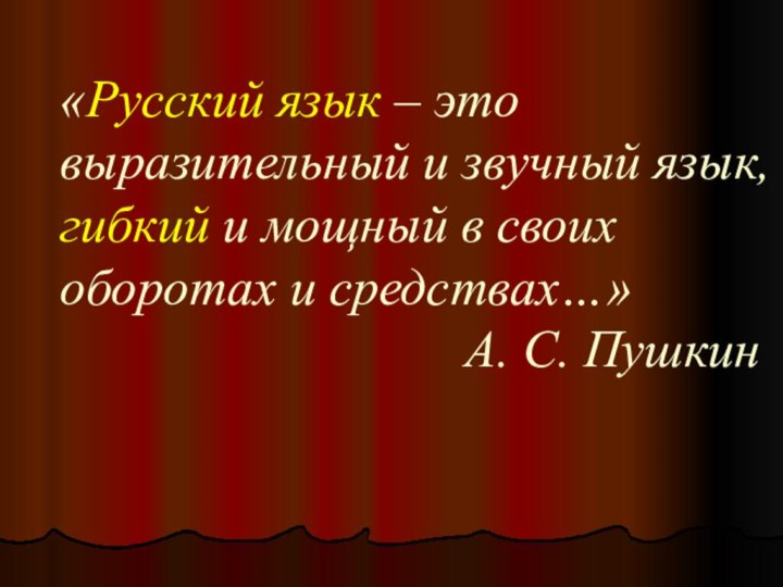 «Русский язык – это выразительный и звучный язык, гибкий и мощный в