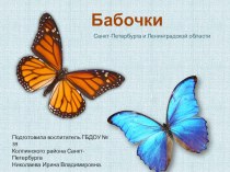 Бабочки Санкт-Петербурга и Ленинградской области презентация урока для интерактивной доски по окружающему миру (старшая группа)