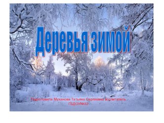 Деревья зимой. презентация к уроку по окружающему миру (старшая группа)