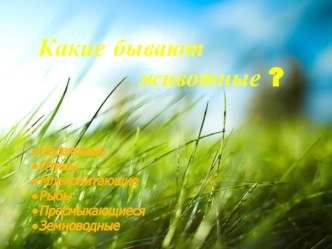 Какие бывают животные? презентация к уроку по окружающему миру (1,2,3,4 класс) по теме