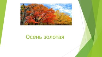 prezentatsiya microsoft powerpoint