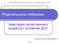 Родительское собрание Адаптация детей раннего возраста к детскому саду презентация к уроку (младшая группа)
