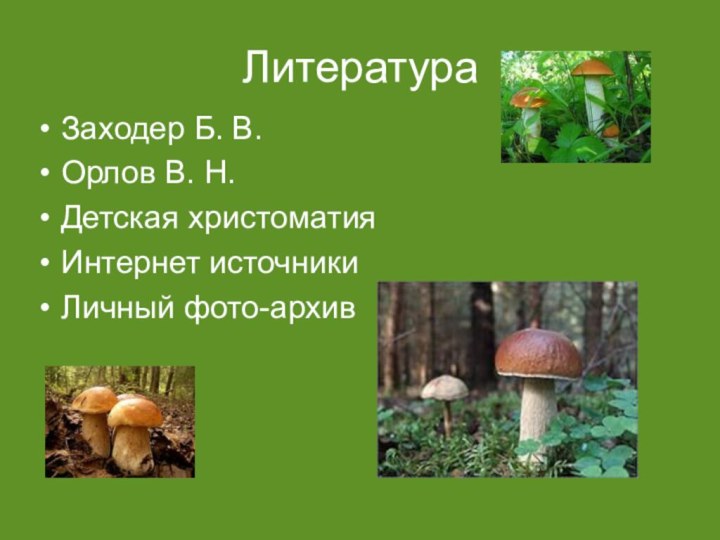 ЛитератураЗаходер Б. В.Орлов В. Н.Детская христоматияИнтернет источникиЛичный фото-архив