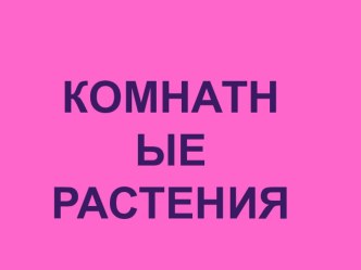 ПрезентацияКомнатные растения презентация к уроку по окружающему миру (1 класс) по теме