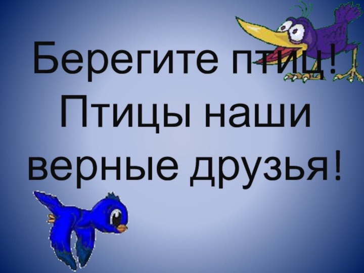 Берегите птиц! Птицы наши верные друзья!