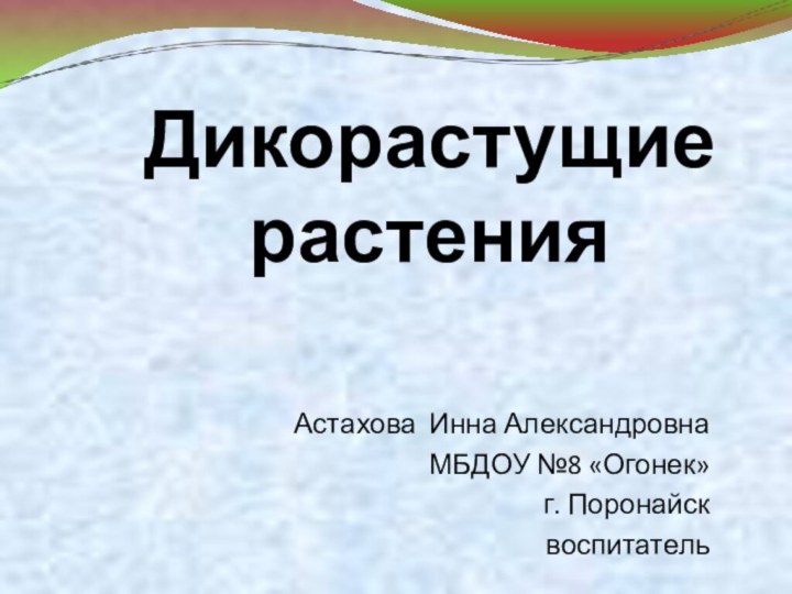 Дикорастущие  растенияАстахова Инна АлександровнаМБДОУ №8 «Огонек» г. Поронайсквоспитатель