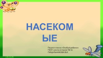 Насекомые презентация к уроку по окружающему миру