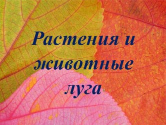 Животные и растения луга презентация к уроку по окружающему миру (3 класс)