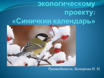 Зимующие птицы презентация к уроку (средняя группа) по теме