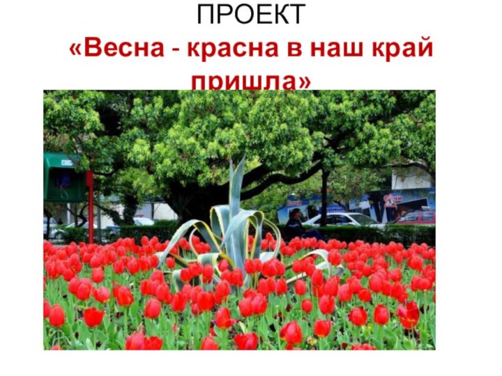 ПРОЕКТ  «Весна - красна в наш край пришла»