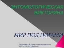 Энтомологическая викторина Мир природы презентация к уроку по окружающему миру (3 класс) по теме