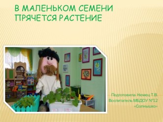 Занятие и презентация : В маленьком семени прячется растение. план-конспект занятия (старшая группа) по теме
