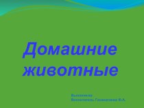 Презентация Домашние животные презентация к уроку по окружающему миру (младшая группа) по теме